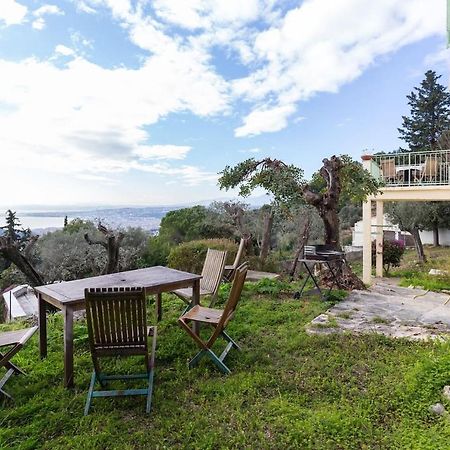 Nissa Vinaigrier Villa Nice Exterior photo