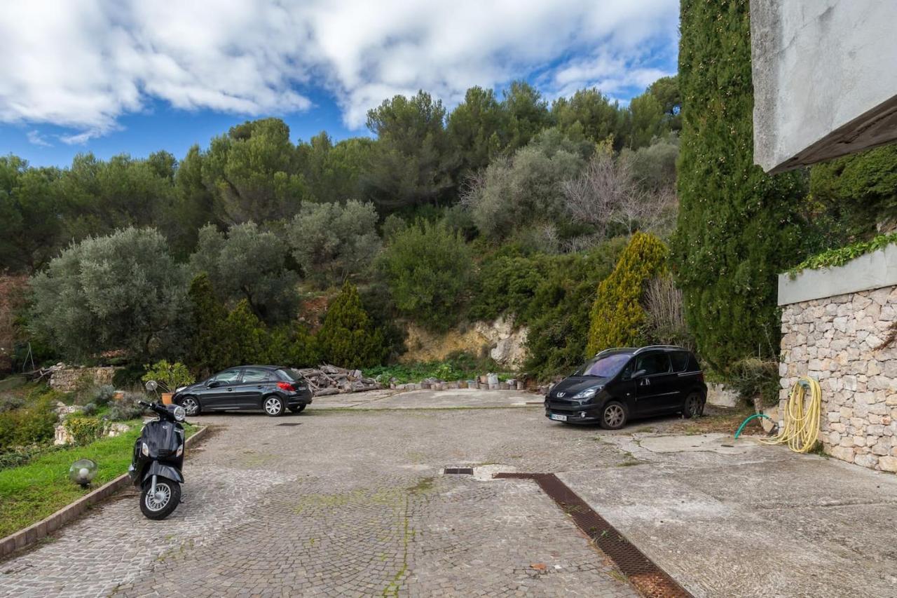 Nissa Vinaigrier Villa Nice Exterior photo