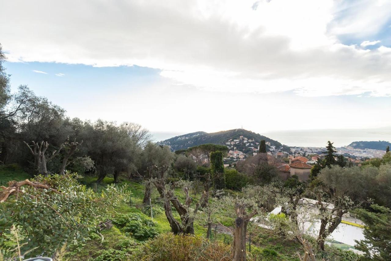 Nissa Vinaigrier Villa Nice Exterior photo